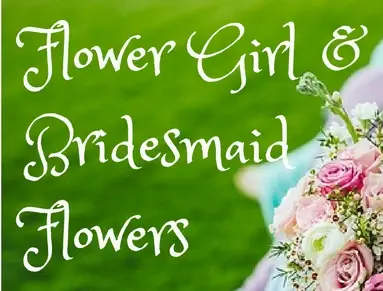 <br />
<b>Warning</b>:  Undefined variable $ImageTitle in <b>D:\Sites\4. Production\Booker Weddings\Views\Blog\BlogListing.php</b> on line <b>11</b><br />
